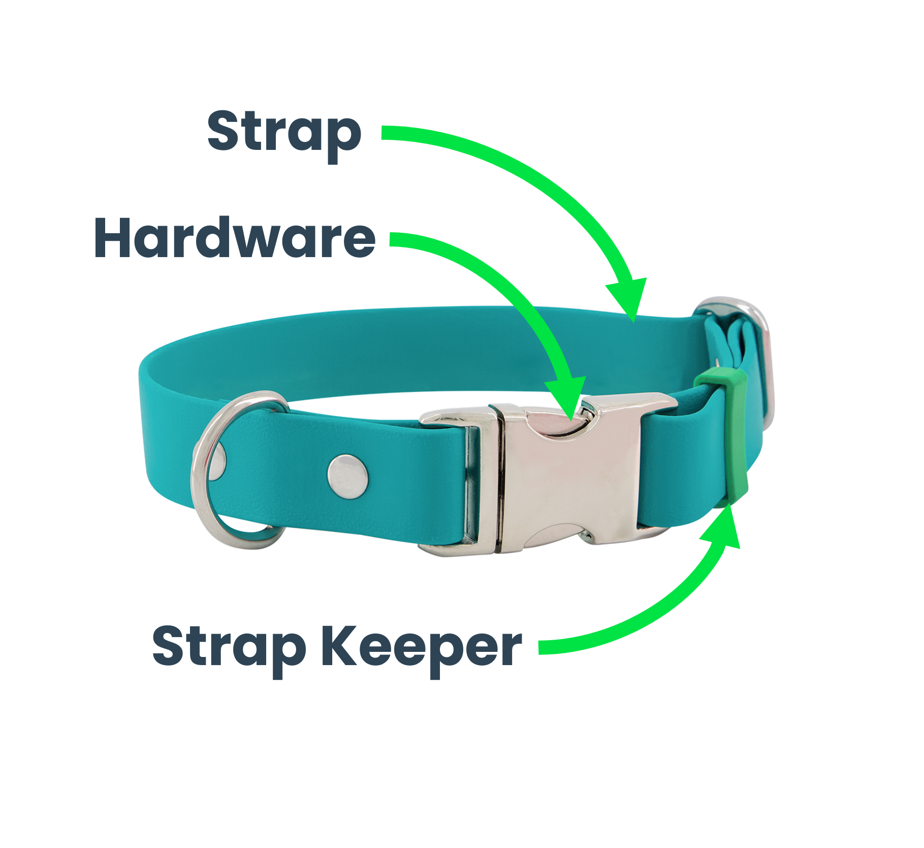 Dog Quick Release Collar Led & Collared NZ